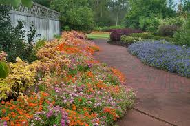 flower beds in mercer arboretum