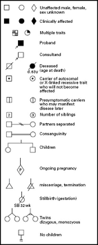 Pedigree Chart Symbols Pedigree Chart Genetic Counseling