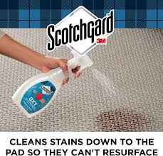 scotchgard oxy carpet fabric spot