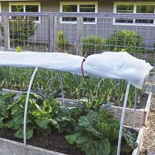 Pest Proof Vegetable Garden