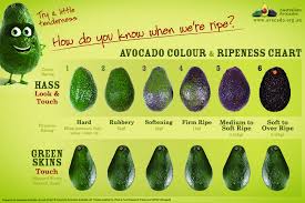 Avocado Ripeness Chart Avocado Recipes Avocado Health