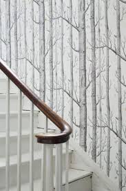 Wallpaper stairs home wallpaper wallpaper ideas stair stickers elegant homes peel and stick wallpaper basement remodeling. Super Stairs Wallpaper Ideas Staircases Ideas Ideas Staircases Stairs Super Wallpaper In 2020 Birch Tree Wallpaper Tree Wallpaper Bedroom Cole And Son Wallpaper