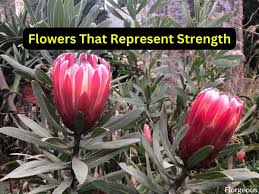 22 flowers that represent strength and