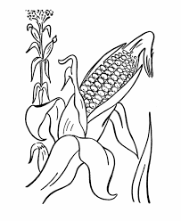 2021 coloring page from happy new year category. Ear Of Corn Coloring Page Coloring Home