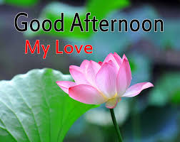 good afternoon my love picture