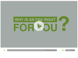 Flexible Spending Accounts How An Fsa Works
