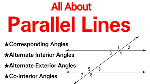 all about parallel lines