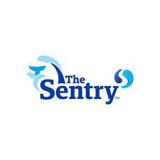 the sentry 2024 golf leaderboard pga tour