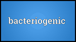 bacteriogenic
