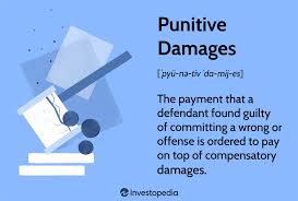 what are punitive damages purpose cap