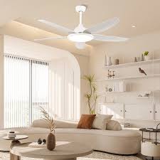 fengyun 56 inch ceiling fan with light