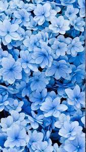 Spring wallpaper, Blue wallpapers ...