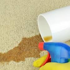 austin carpet cleaning pros closed