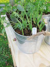 Make A Self Watering Container Garden