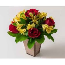 We did not find results for: Recife Small Arrangement Of Red Roses And Astromelia Flower Delivery Red Roses And Astromelia Flower Delivery Recife Online Florist Recife