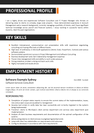 Key Skills in Resumes  Skill Based Resume   Skills Summary Examples MyPerfectResume com