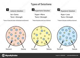 types solutions infographic diagram