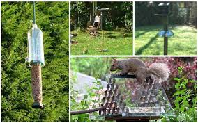 diy squirrel proof bird feeder ideas