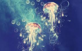 280 jellyfish wallpapers