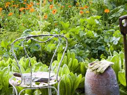 How To Grow A Cottage Garden