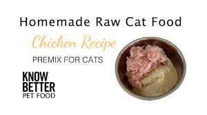 how to make homemade cat food know