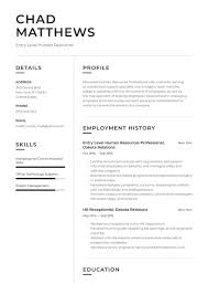 Cv examples work experience section cv sample work. Entry Level Hr Resume Examples Writing Tips 2021 Free Guide