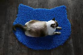 colorful cat shaped accent rugs from