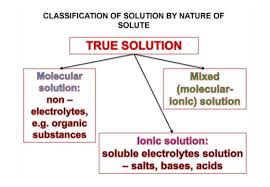 what is true solution definitions