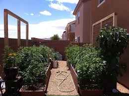 Raised Beds In Las Vegas