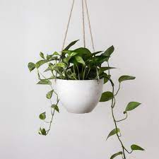 8 Or 12 Hanging Planter Pot With