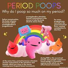 Does Your Period Affect Your Bowel Movements gambar png