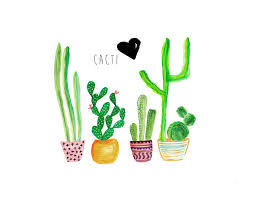 backgrounds, Cactus backgrounds, Cactus