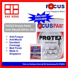 gift focus protex paint 5l anti