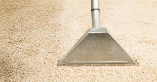 blas carpet carpet cleaning company