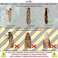 mothout 10 pheromone clothes moth traps