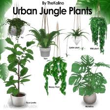 Urban Jungle Plants At Kalino The