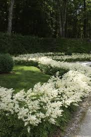 White Gardens Shade Garden