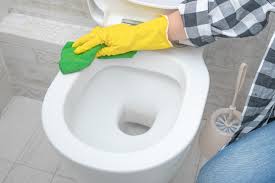 how to remove toilet bowl stains of any