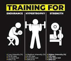 endurance hypertophy and strength