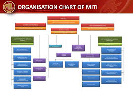 Ppt Organisation Chart Of Miti Powerpoint Presentation