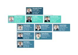 Software Company Org Chart Free Software Company Org Chart