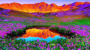 Cool Colorful Nature Wallpapers - Top ...