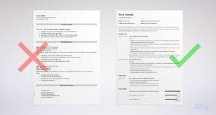 Best Resume Format Formats 3 Samples And Templates For All