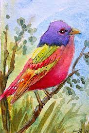 Watercolor Bird Watercolor Paintings