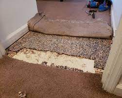 best carpet repair services near me
