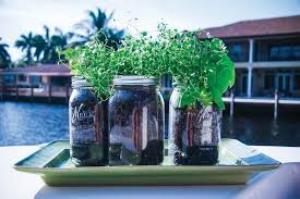 diy herb garden southern boating