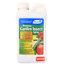 organic garden insect spray monterey