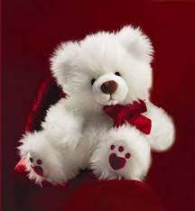 Collection : Top 31 teddy bear download ...