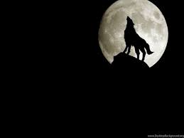 3D Wolf Wallpapers 1024x768 Wallpapers ...
