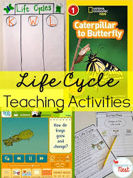Teaching Life Cycles Elementary Nest
